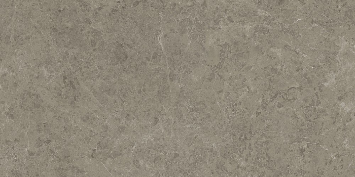 Marvel Meraviglia Grigio Elegante Hammered 60x120 Antiderapant 9 mm [6]