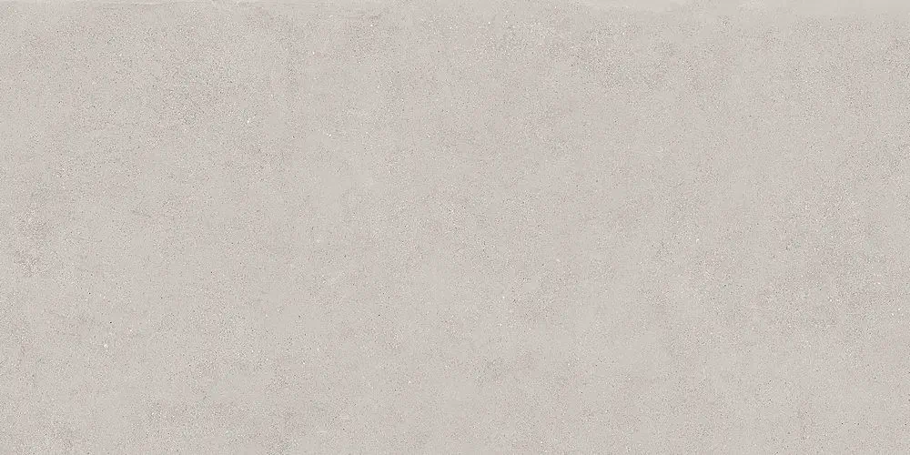 MAXXI Argento 60x120 Mat 6.5 mm [5]