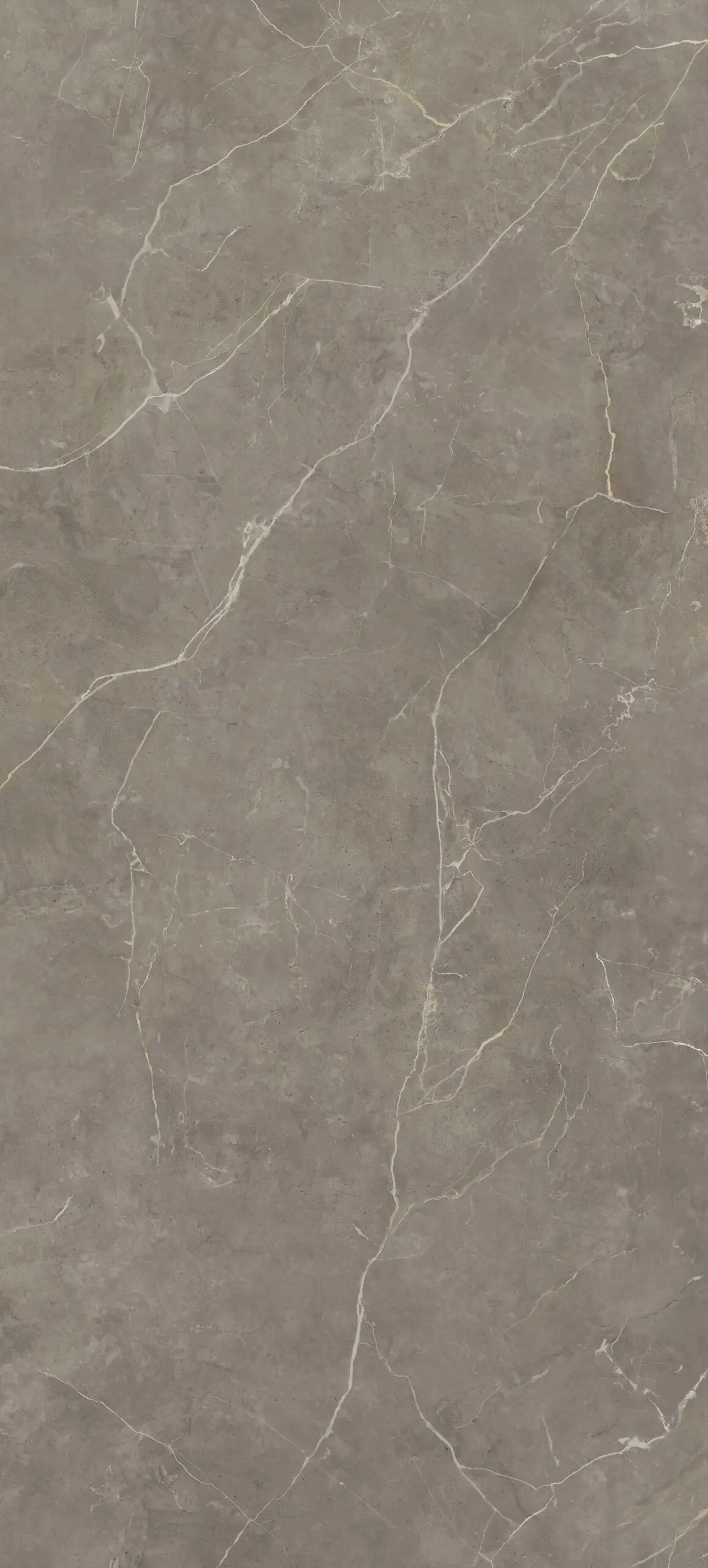 Messa Greige 120x280 Mat 6 mm [3]