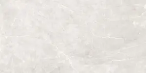 Messa White 120x280 Mat 6 mm [6]