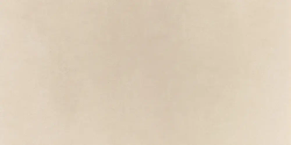 Micron 2.0 A 60x120 Lucios [2]