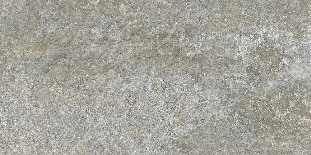 Monviso Gri 30x60 Texturat 9 mm [4]