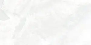 ONI White 60x120 Lucios [6]