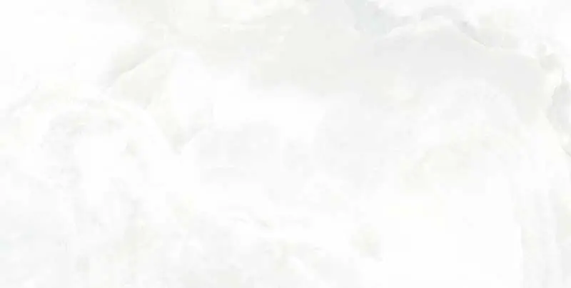 ONI White 60x120 Lucios [2]