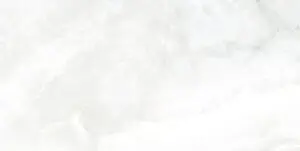 ONI White 60x120 Lucios [4]