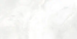ONI White 60x120 Lucios [3]