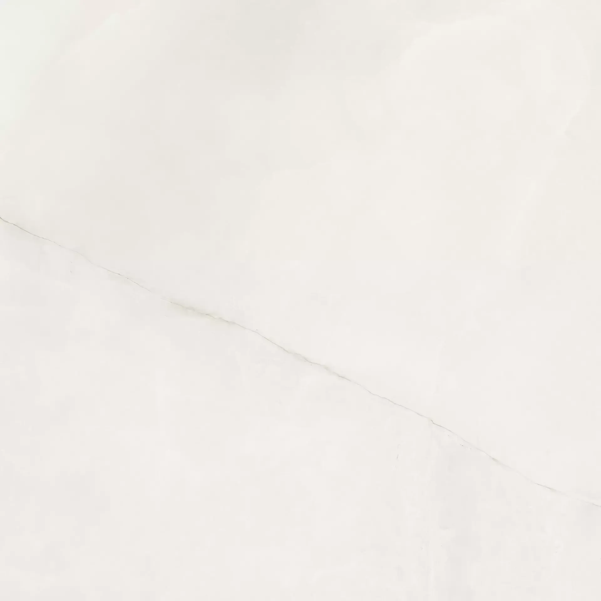 ONYX WHITE ABSOLUTE 120X120 Mat 6.5 mm [6]