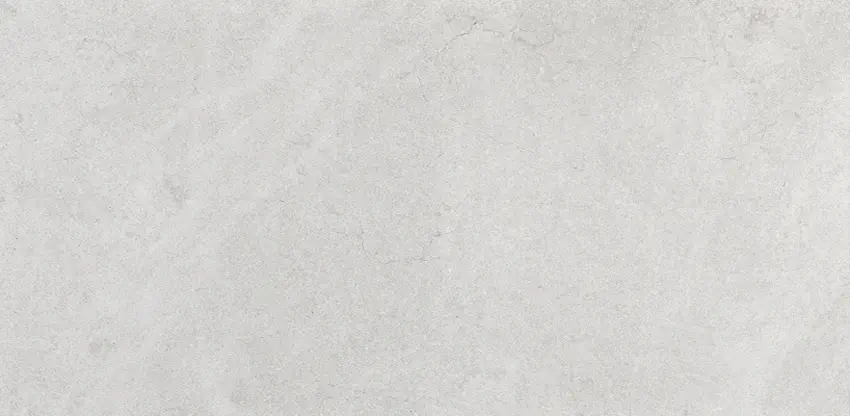 Palace Bianco 60x120 Lappato 9 mm [3]