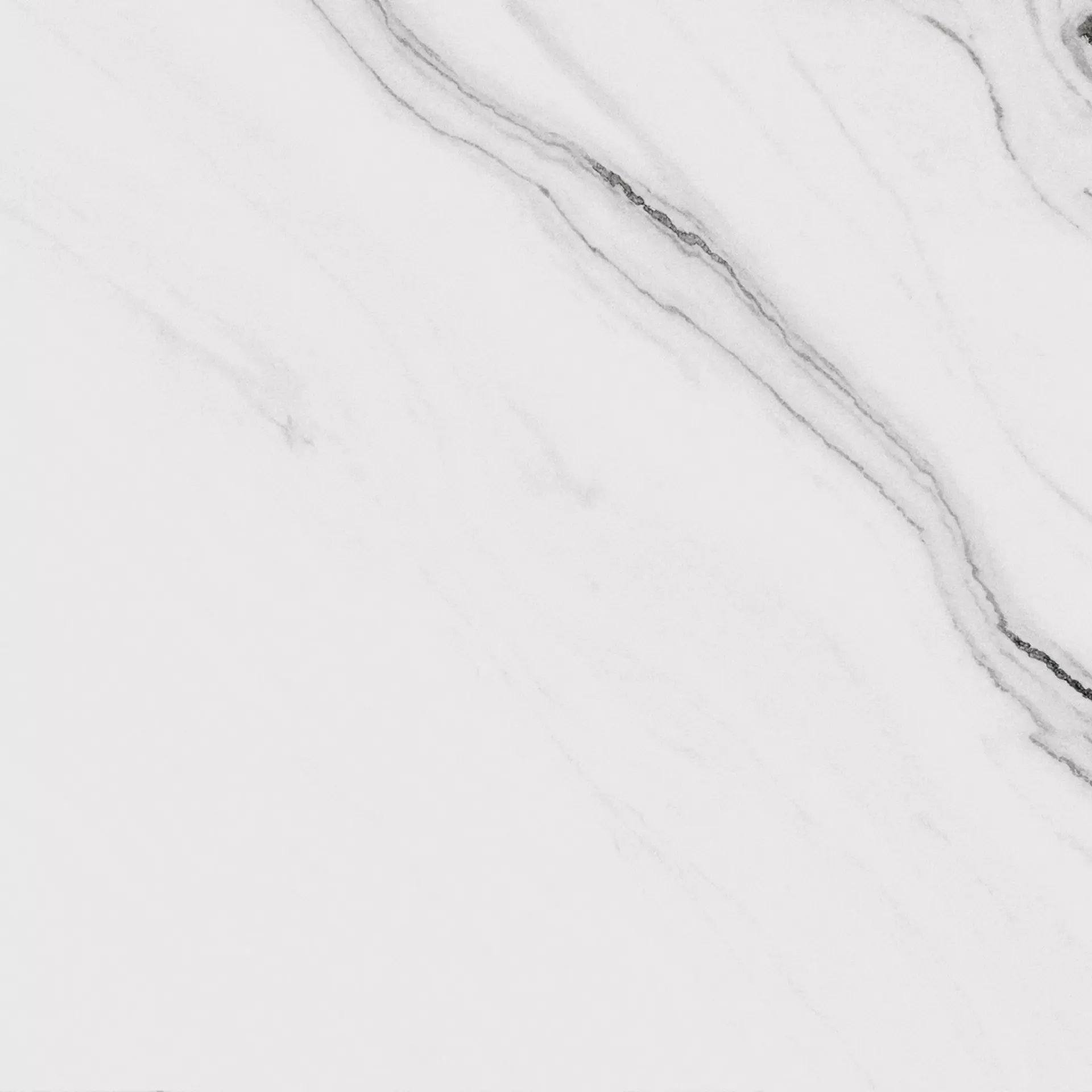 PANDA WHITE 120X120 Lappato 6.5 mm [4]