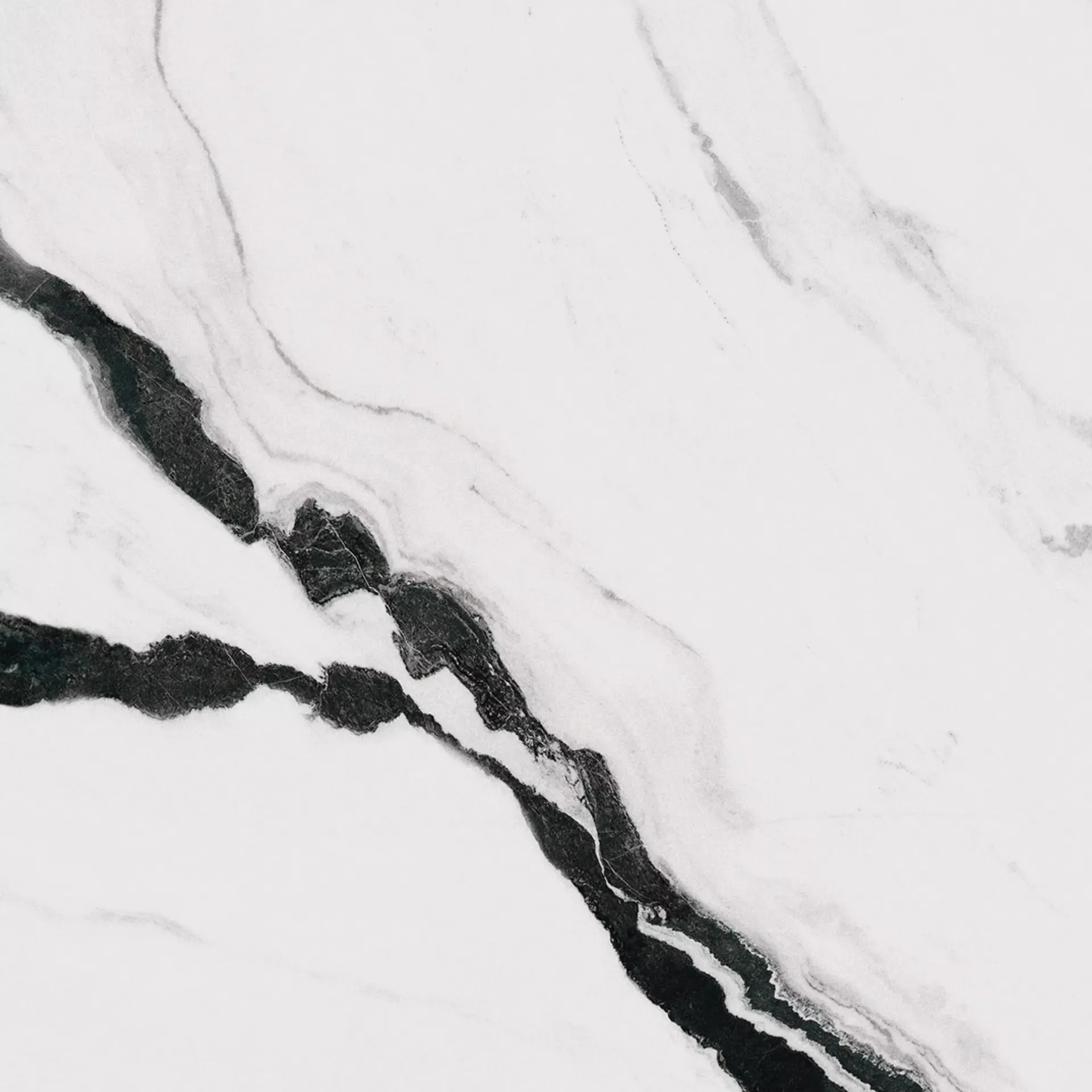 PANDA WHITE 120X120 Lappato 6.5 mm [6]