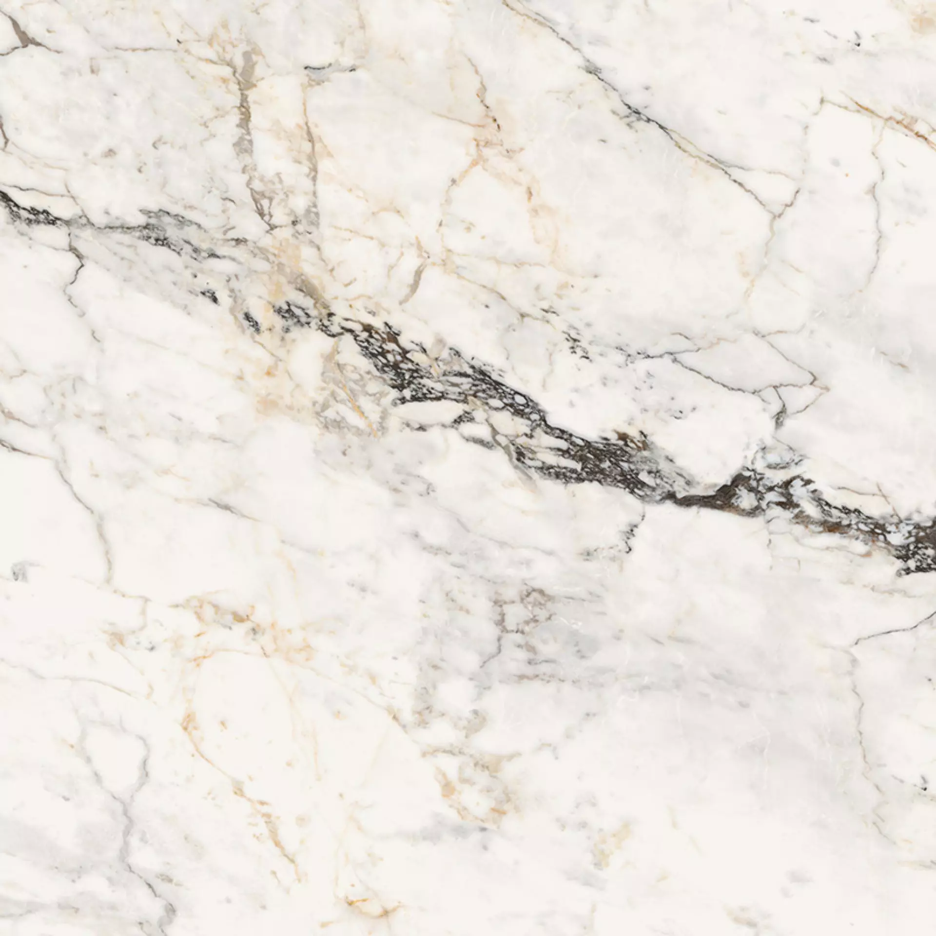 Paonazzetto (PAO) 30x30 Natural 6.5 mm [4]