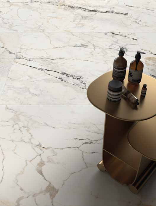 Paonazzetto (PAO) 60x120 Mat 6.5 mm [4]