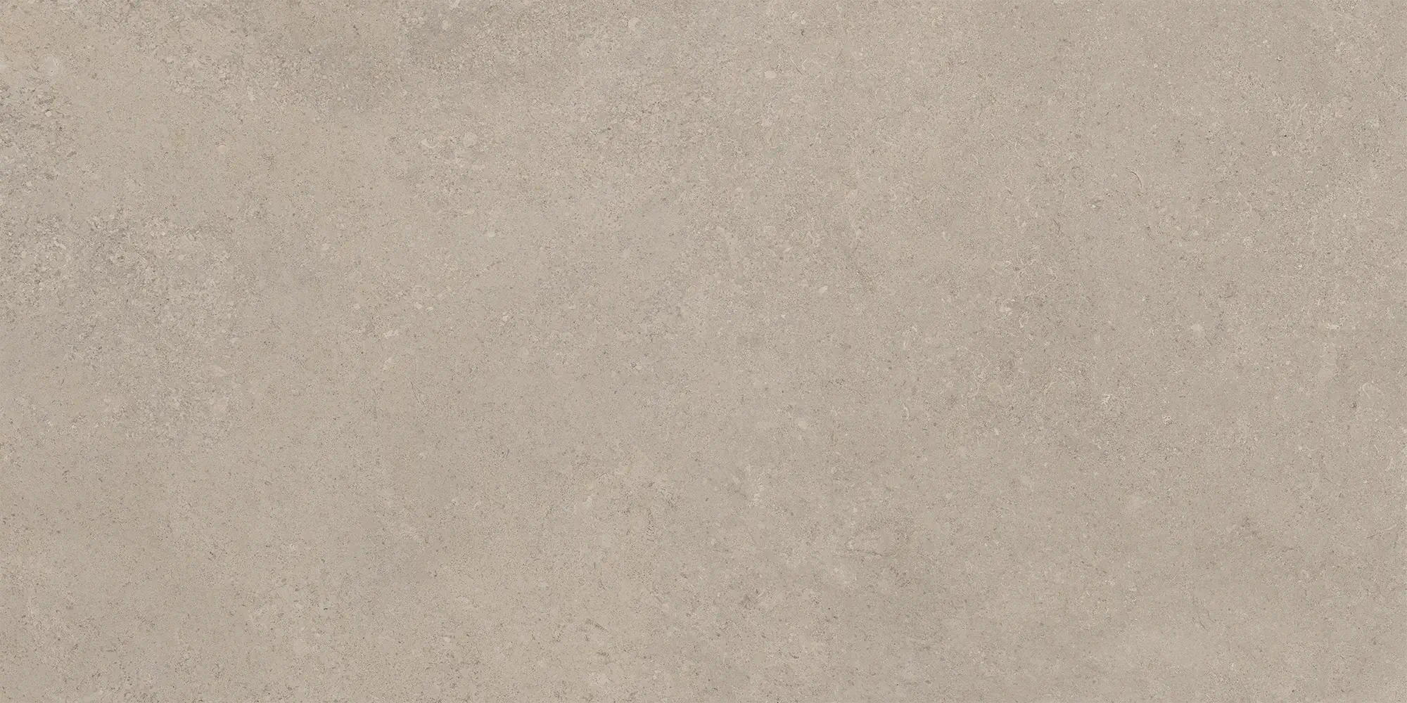 Pillar Taupe 60x120 Matt 8 mm [2]