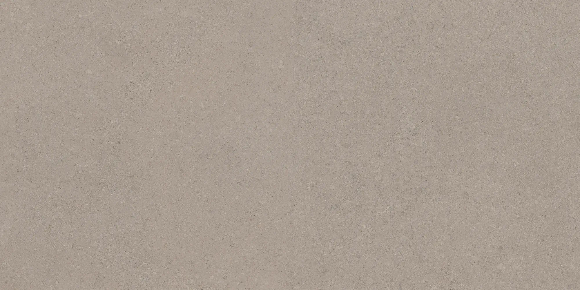 Pillar Taupe 60x120 Matt 8 mm [6]