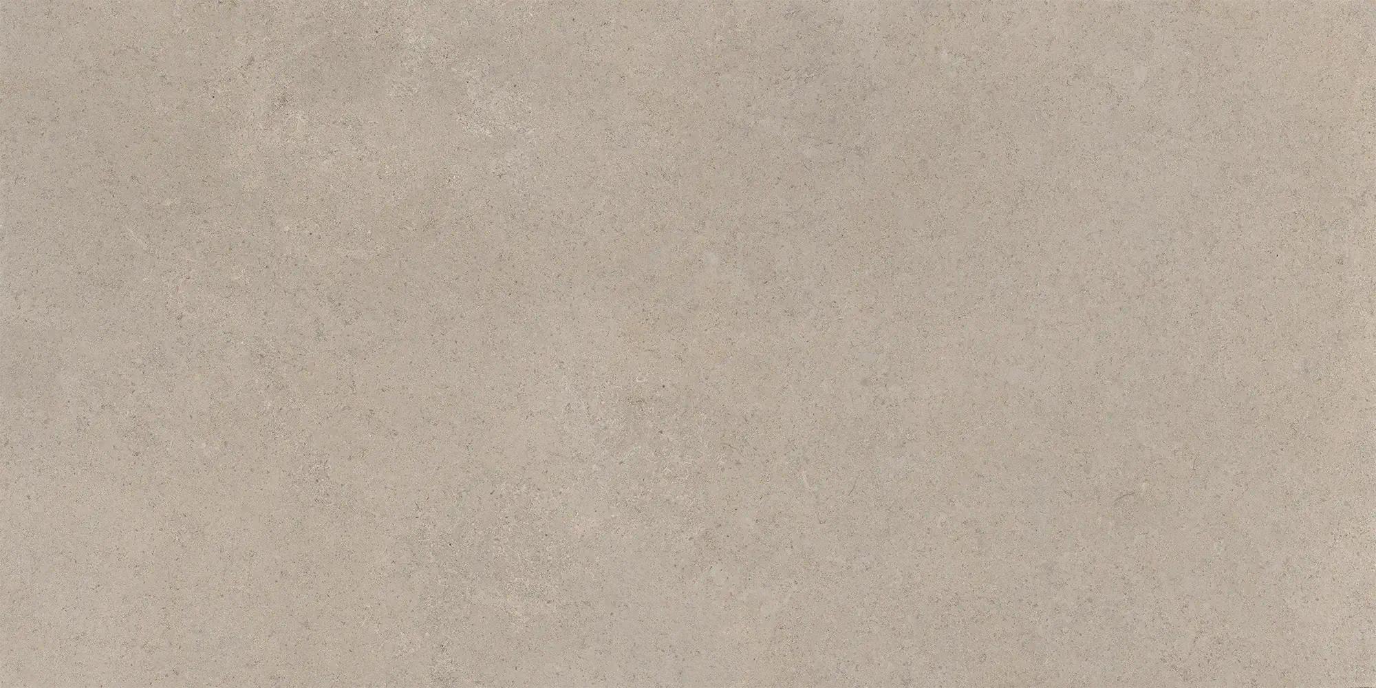 Pillar Taupe 60x120 Matt 8 mm [5]