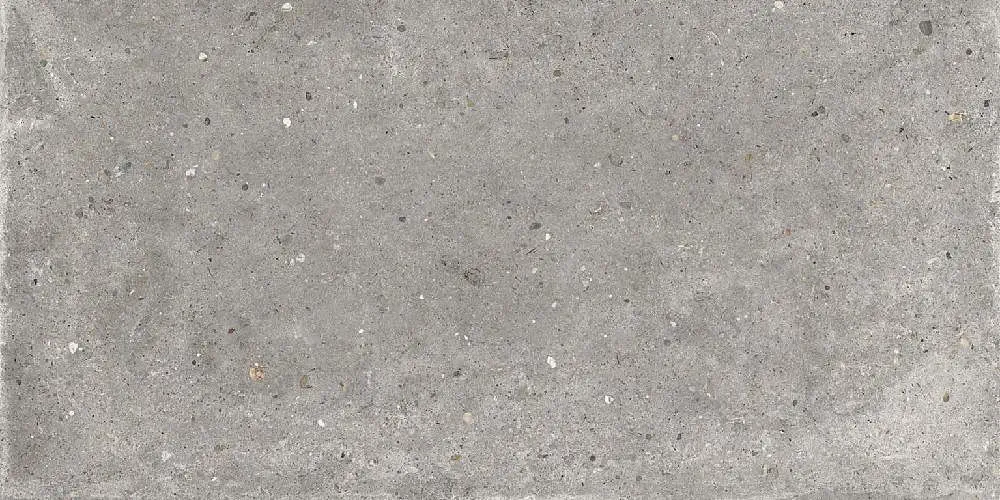 Poetry Stone Pirenei Grey 60x120 Antiderapant 20 mm [6]