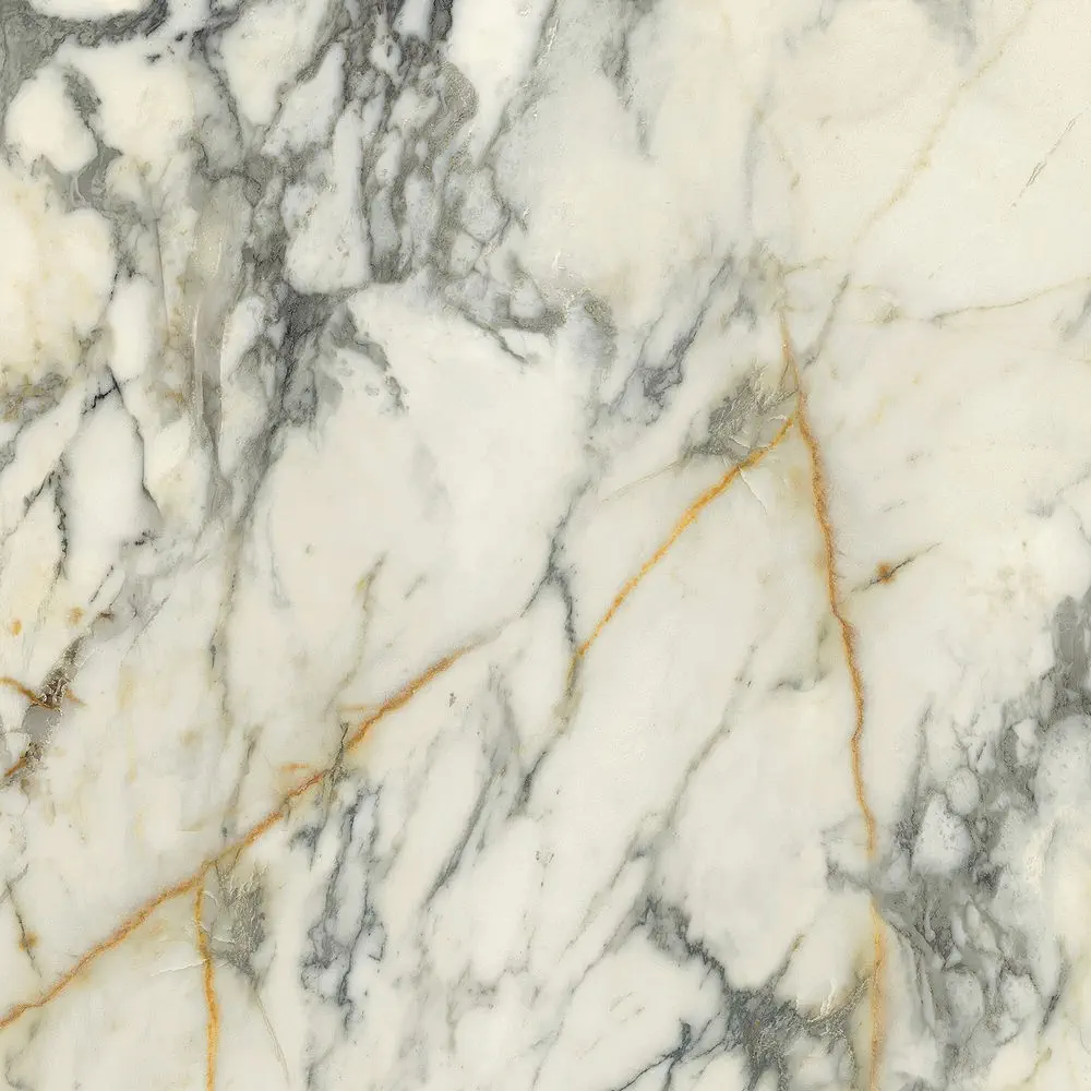 Premiere Paonazzo 120x120 Lucios 8.5 mm [8]