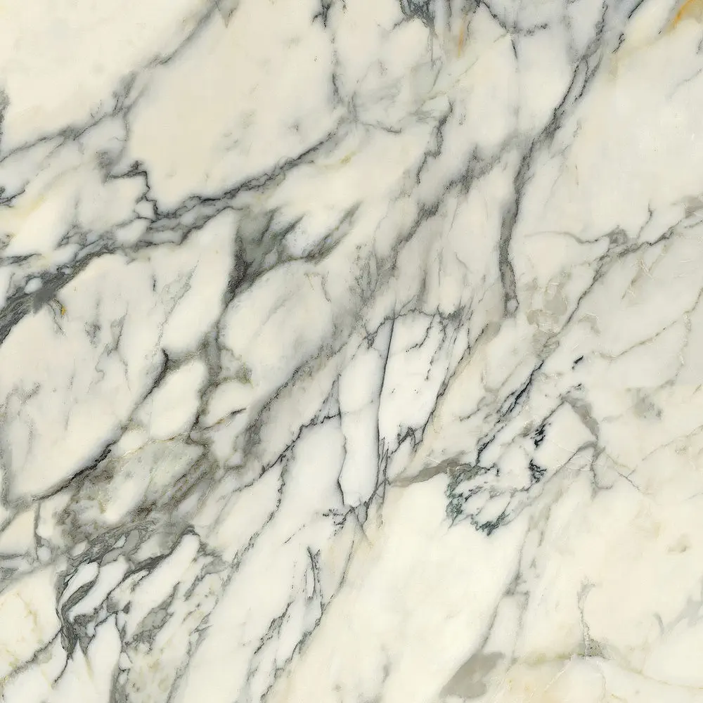 Premiere Paonazzo 120x120 Lucios 8.5 mm [5]