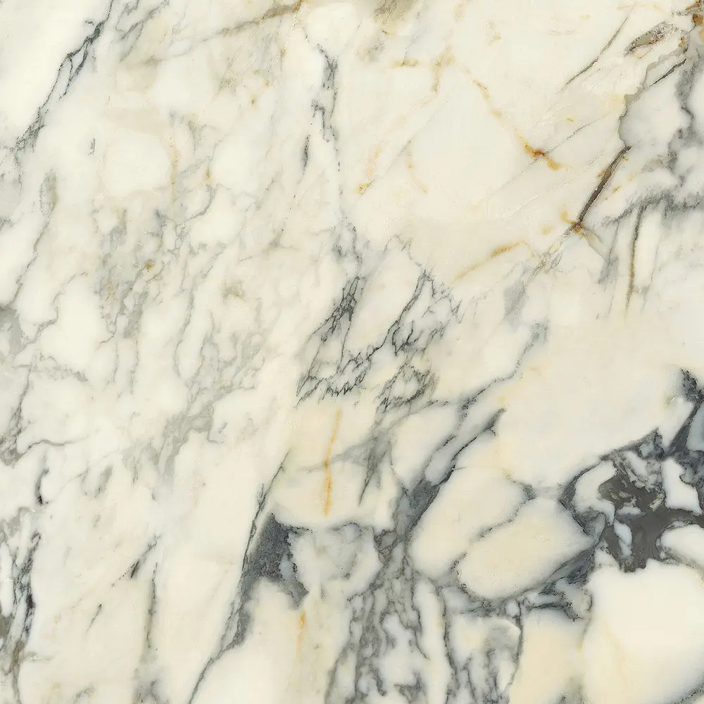 Premiere Paonazzo 120x120 Lucios 8.5 mm [6]