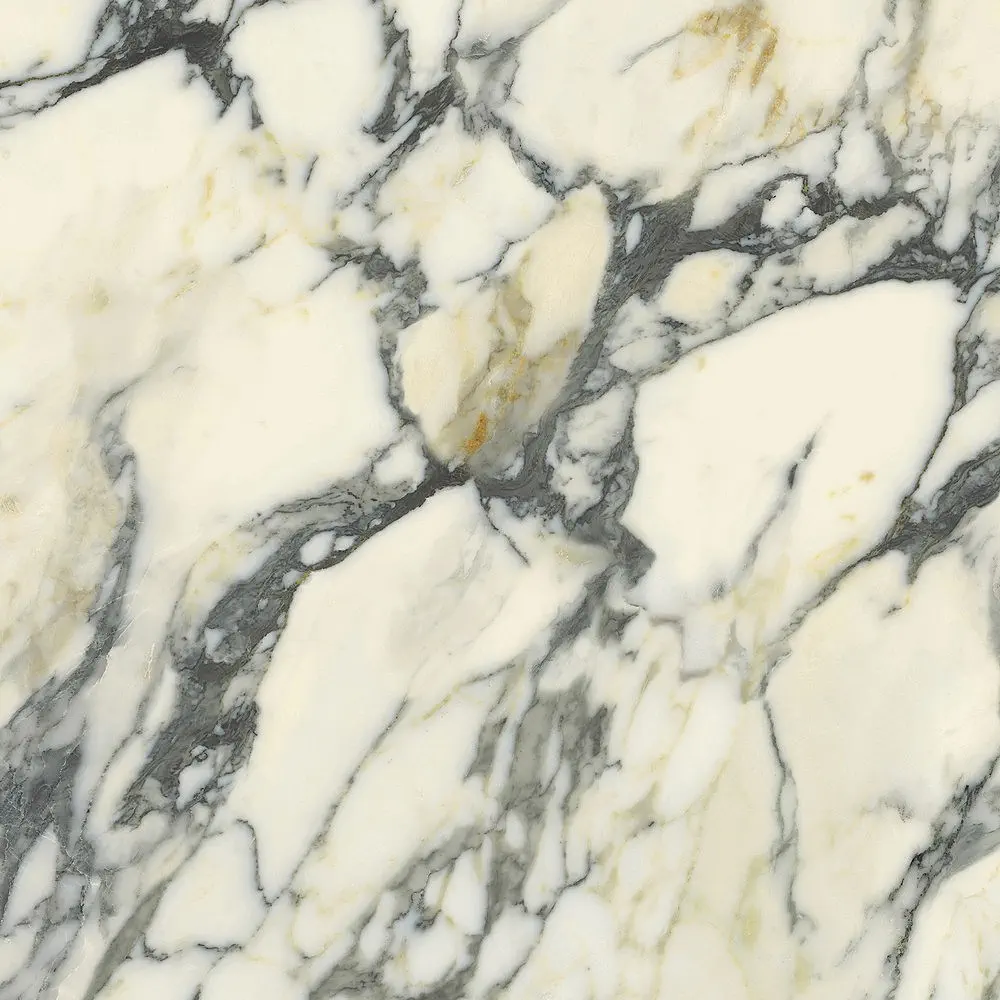 Premiere Paonazzo 120x120 Natural 8.5 mm [3]