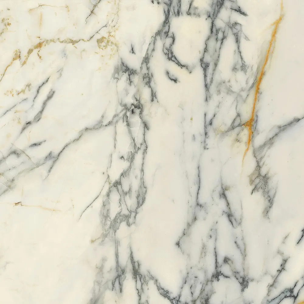 Premiere Paonazzo 120x120 Natural 8.5 mm [2]