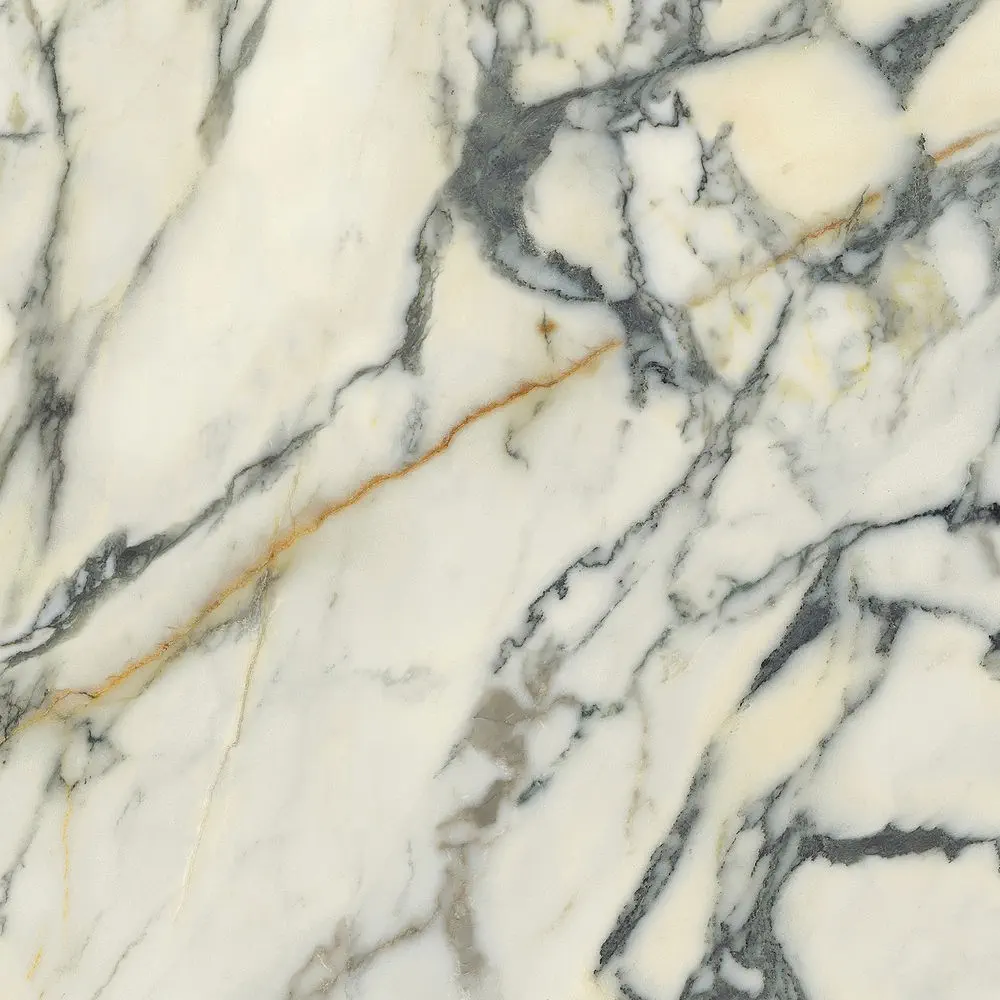 Premiere Paonazzo 120x120 Natural 8.5 mm [6]