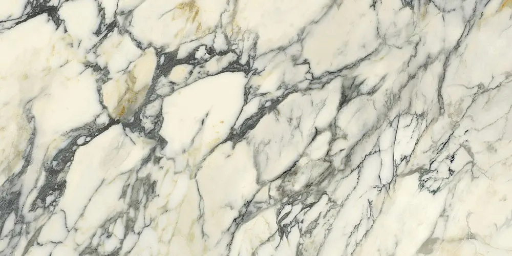 Premiere Paonazzo 60x120 Lucios 8.5 mm [4]