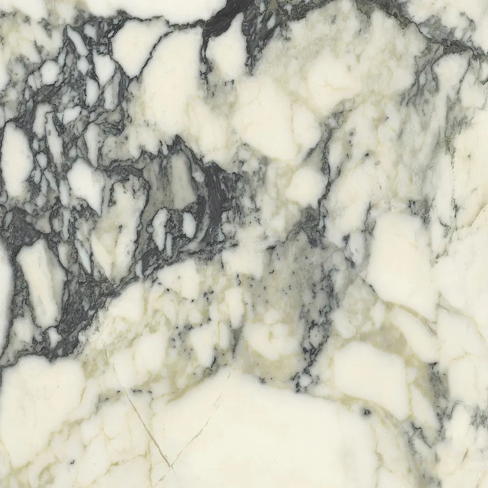 Premiere Paonazzo 60x60 Natural 8.5 mm [7]