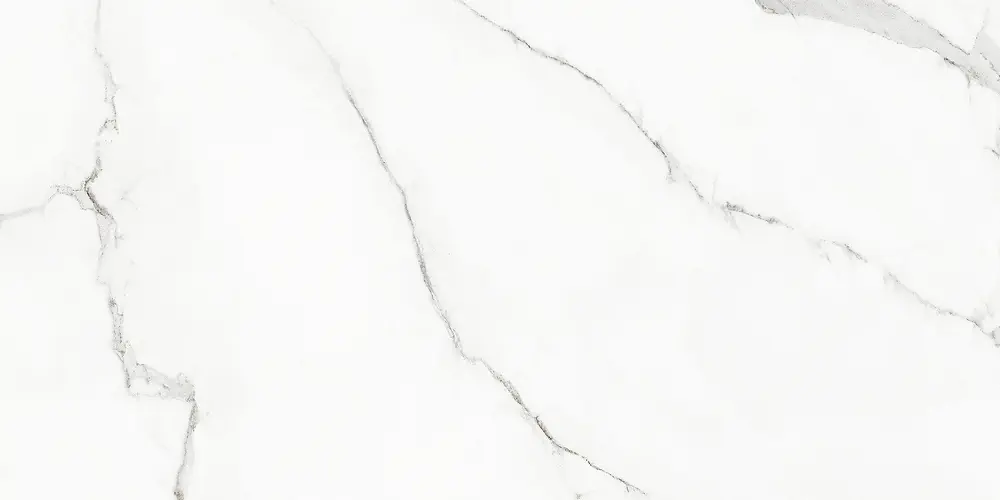 Rhapsody White Beauty 60x120 Lucios 7 mm [5]