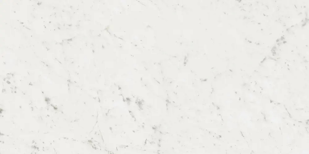 Statuarietto Alb Lappato 60x120 Lappato 9 mm [3]