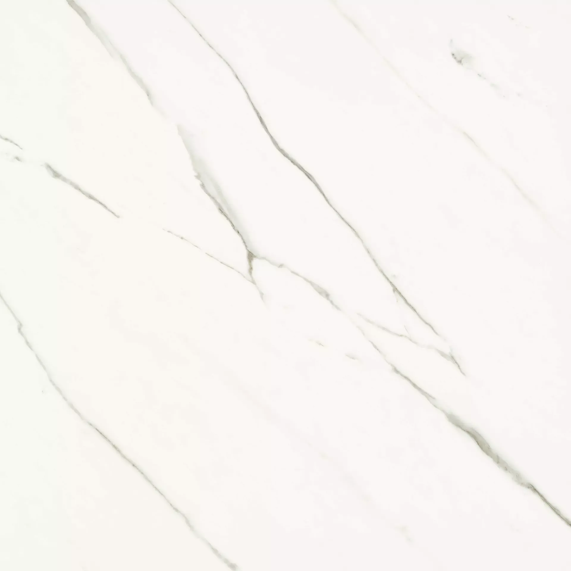 Statuario Extra White (EXT) 120x120 Mat 6.5 mm [3]