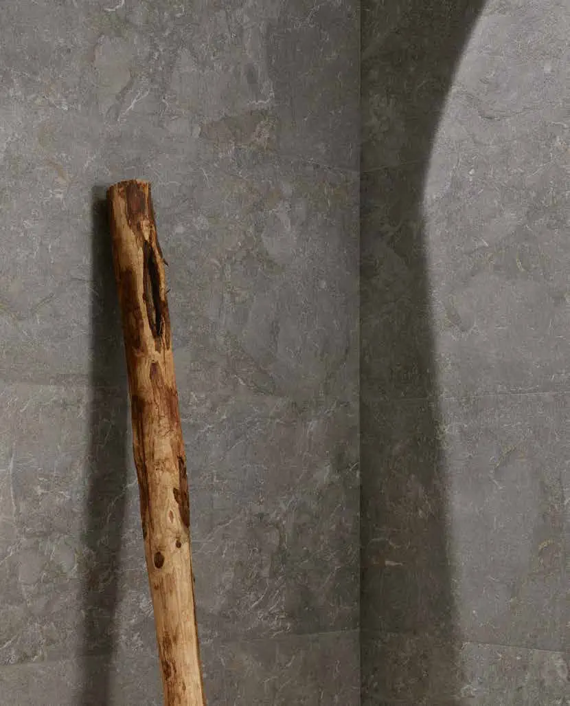Stone Edition Breccia Grey 60x60 Natural 8.5 mm [11]