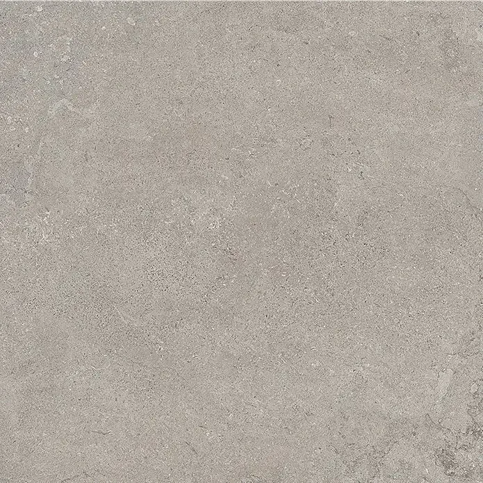 Stone Vision Ash 60x60 Natural 9.5 mm [4]