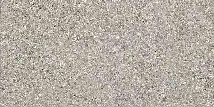 Stone Vision Ash 60x90 Natural 9.5 mm [3]