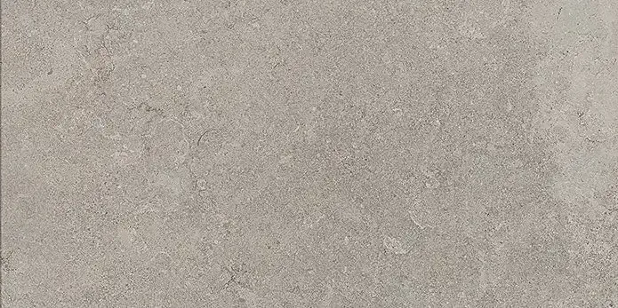 Stone Vision Ash 60x90 Satinat 9.5 mm [4]