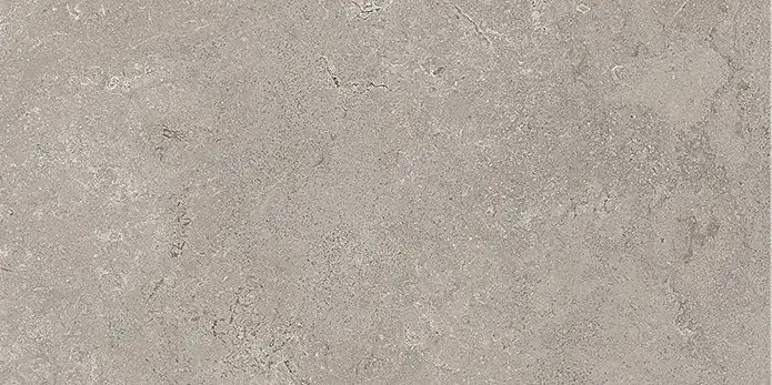 Stone Vision Ash 60x90 Satinat 9.5 mm [5]