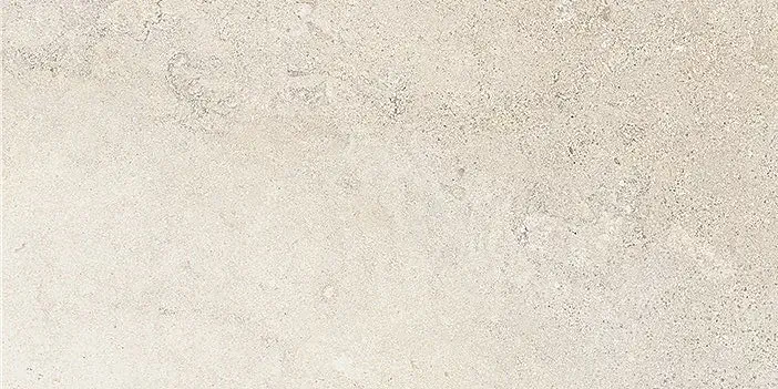 Stone Vision Light 60x120 Natural 9.5 mm [5]