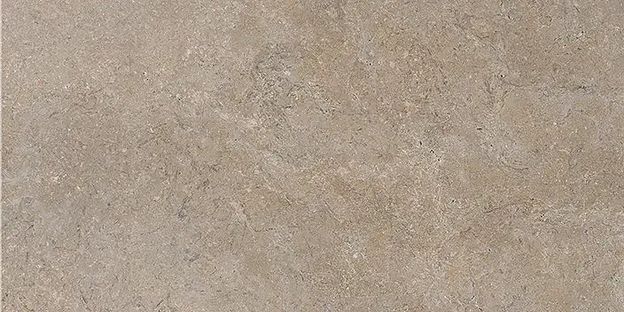Stone Vision Mud 30x60 Antiderapant 9.5 mm [5]