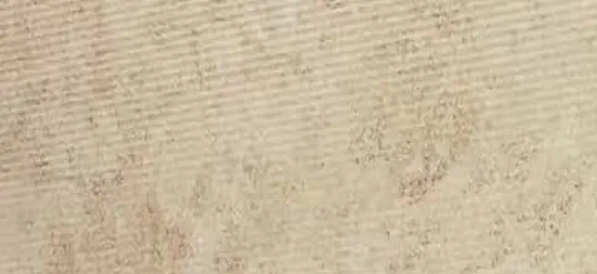 Tales Multicolor Roselière 60x120 Texturat 9 mm [2]