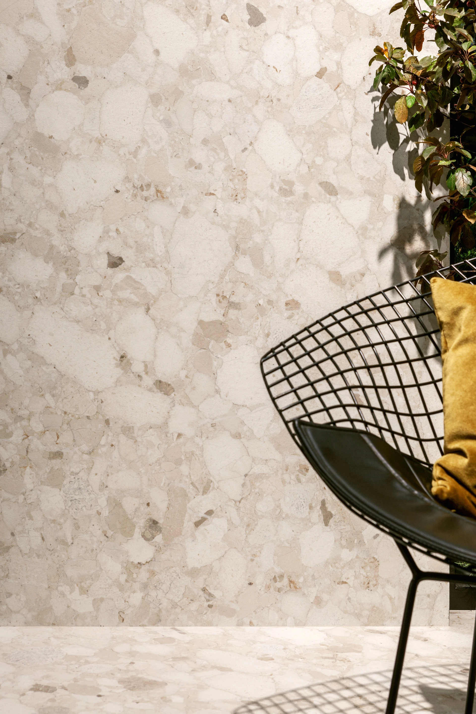 Venistone Beige 60x120 Natural [12]