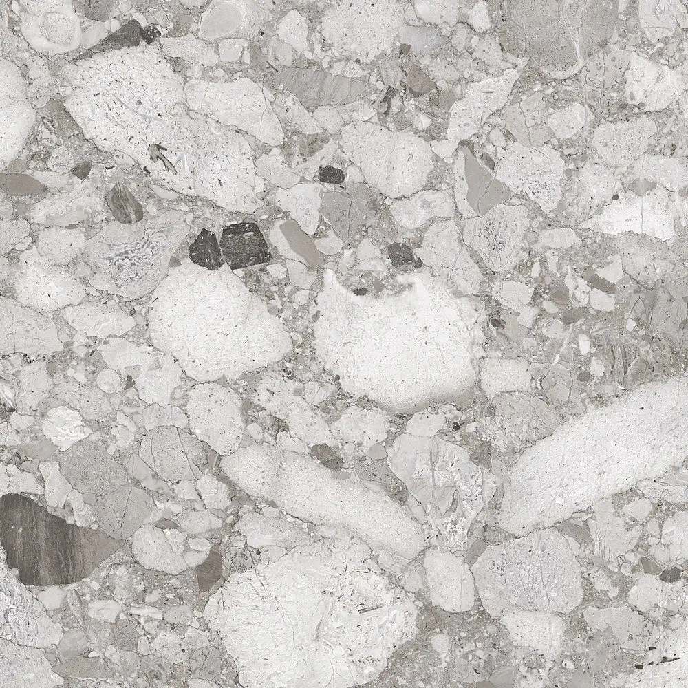 Venistone Grey 120x120 Natural [6]
