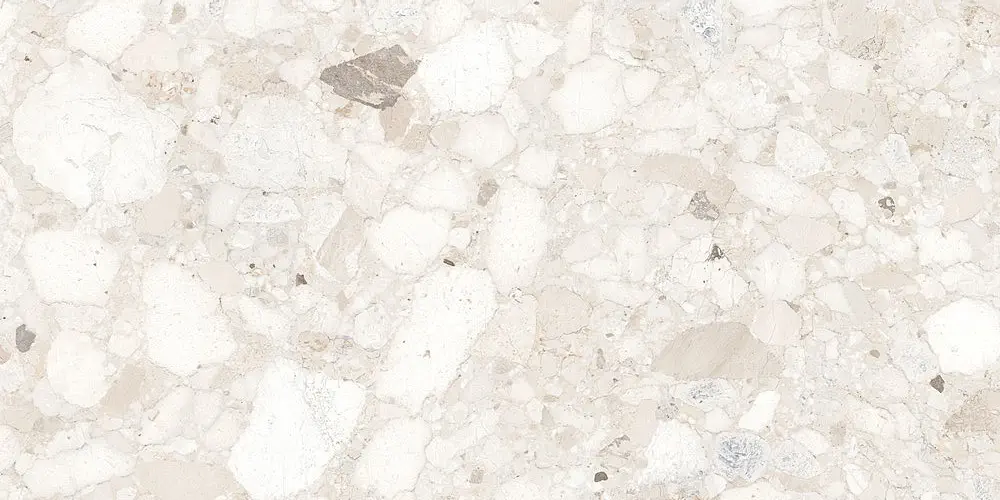 Venistone Ivory 60x120 Natural [5]