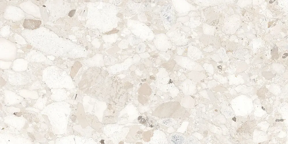 Venistone Ivory 60x120 Natural [6]