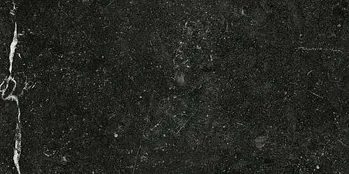 VOGUE Brushed 60x120 Lappato 9mm [2]