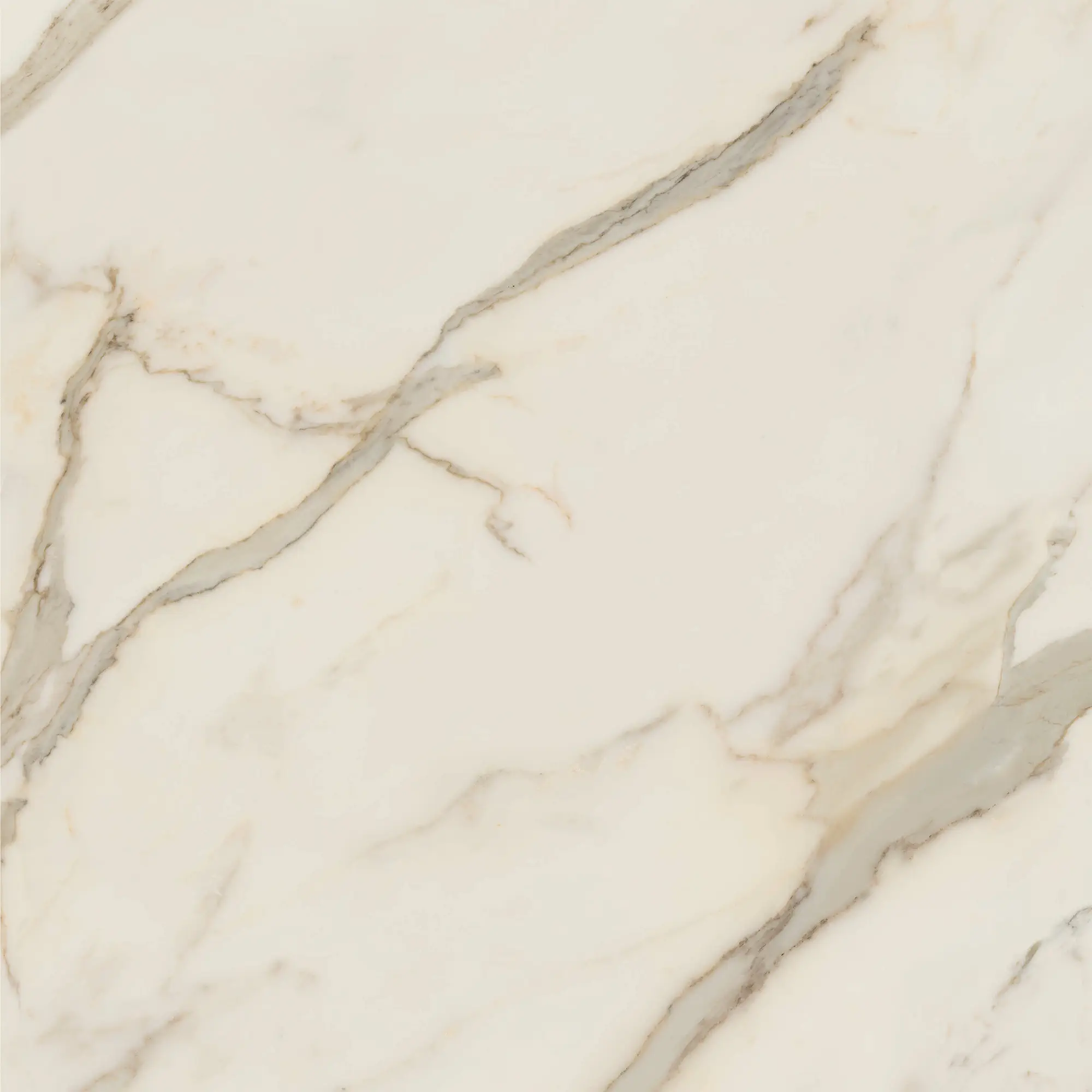 Caesar - Marble Inspiration - Anima Futura Golden White 120x120 Lucidato 9 mm