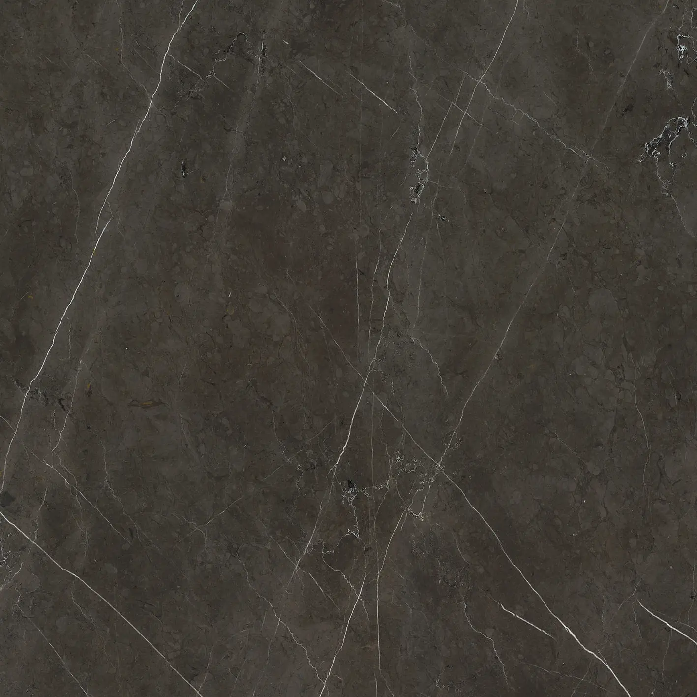 Caesar - Marble Inspiration - Anima Graphite 60x60 Matt 9 mm