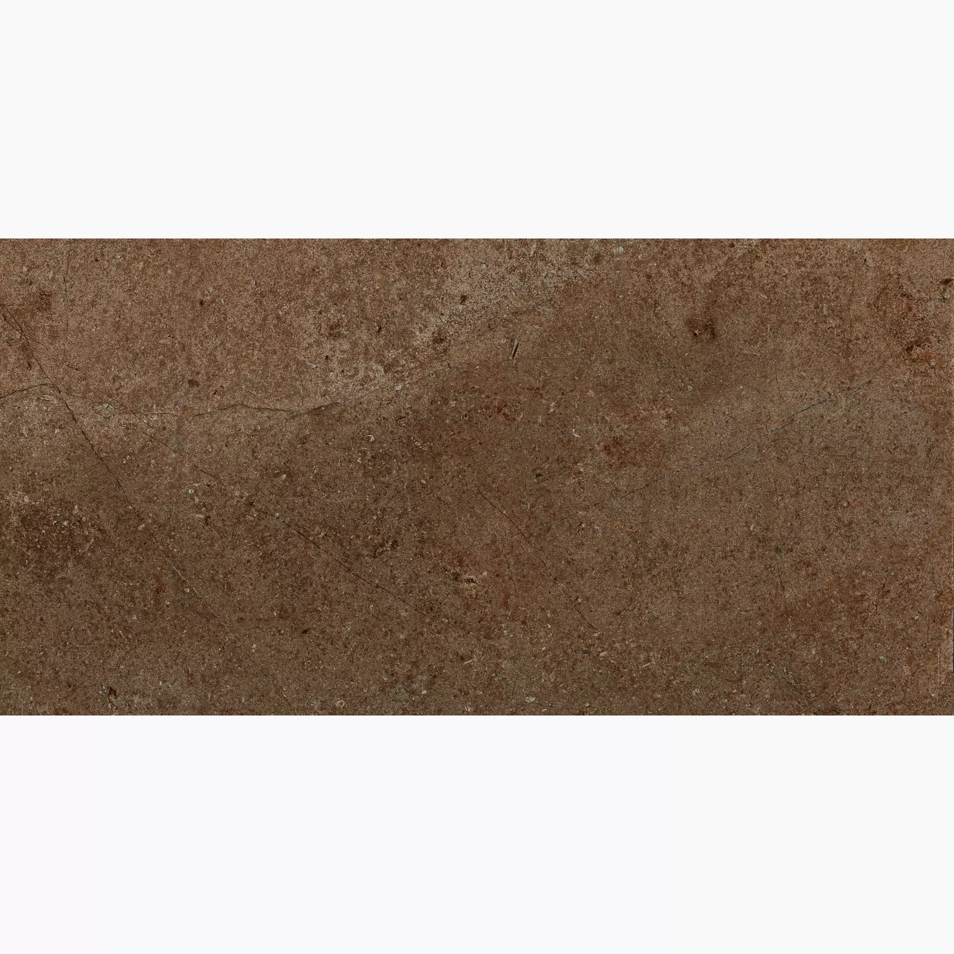 Monocibec - Archè - Archè Terra 50x100 cm Grip 20 mm