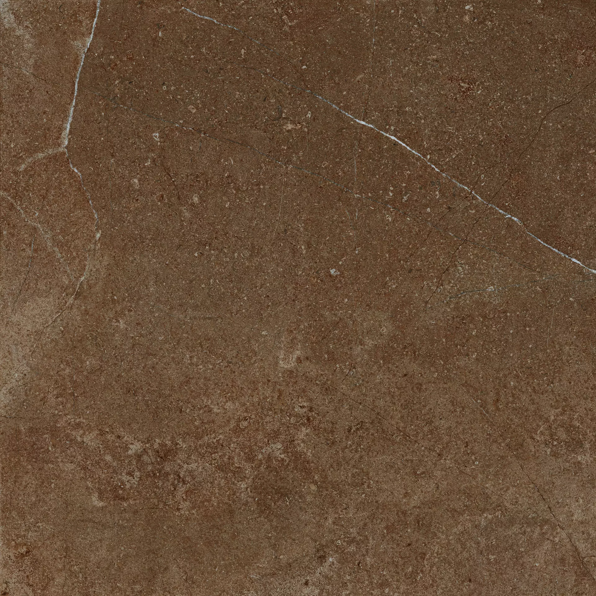 Monocibec - Archè - Archè Terra 60x60 cm Natural 7 mm