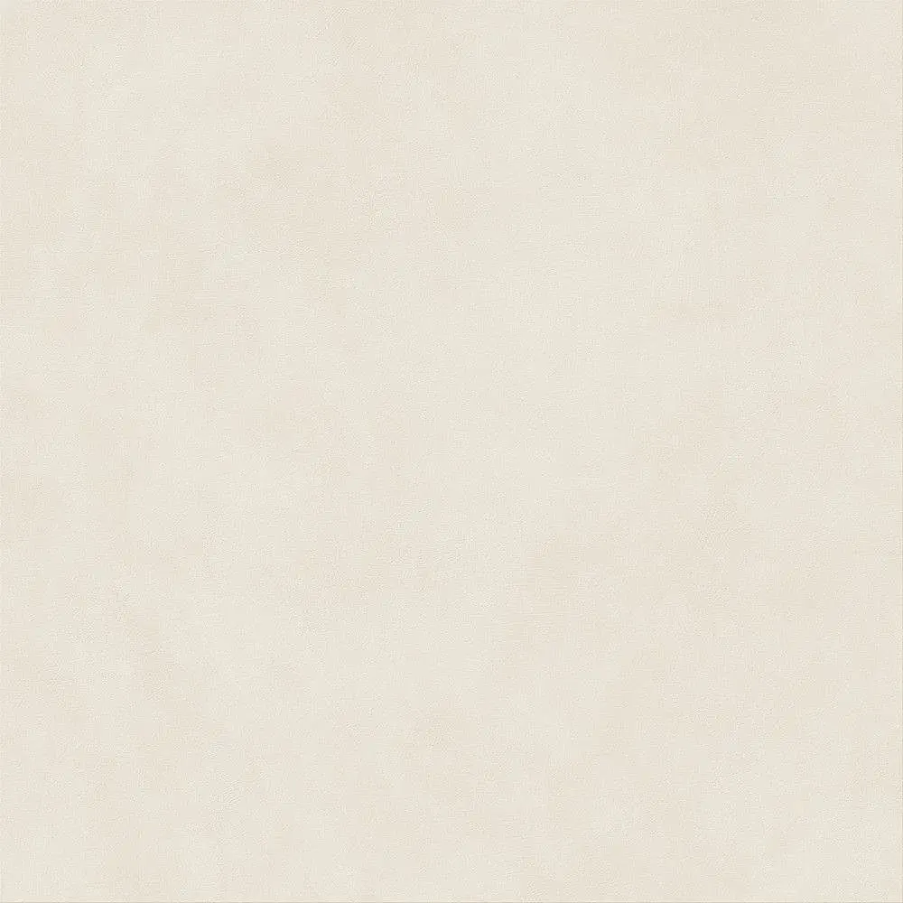 Atlas Concorde - Boost Natural Pro Salt 60x60 Mat Sensitech 9 mm