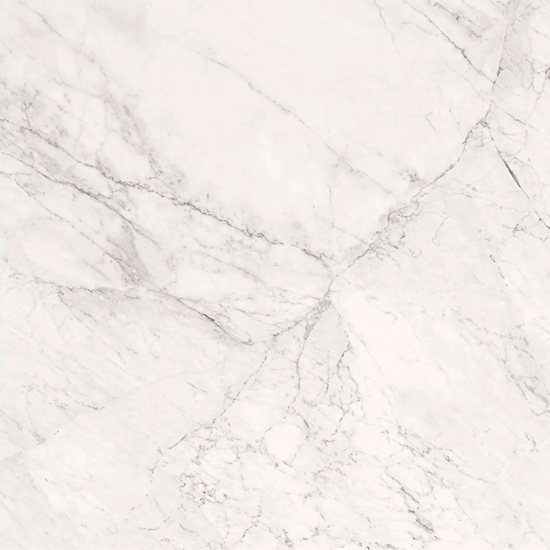 LaFaenza - Calacatta Extra White (CAL) 120x120 Lappato 6.5 mm